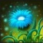 Flowery Field of War