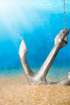 Drop the Anchor!